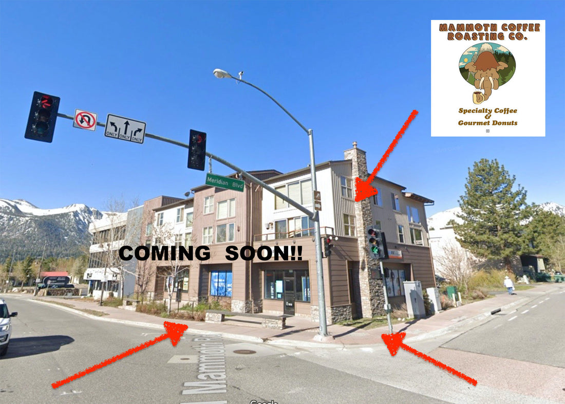 Mammoth Coffee Roasting Opens July 1st!